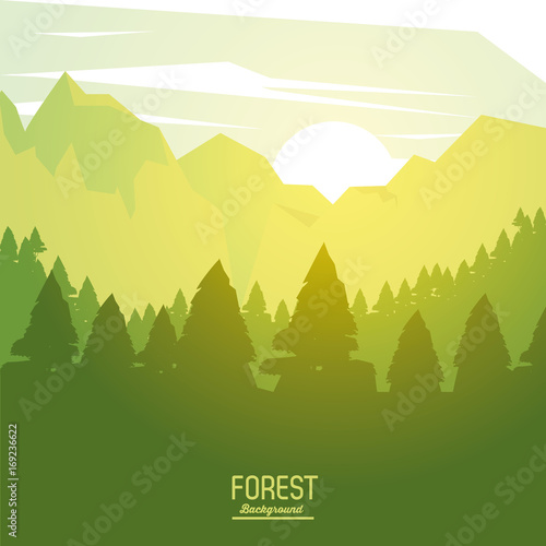 colorful poster forest background with sunrise landscape of forest with trees vector illustration © Jemastock