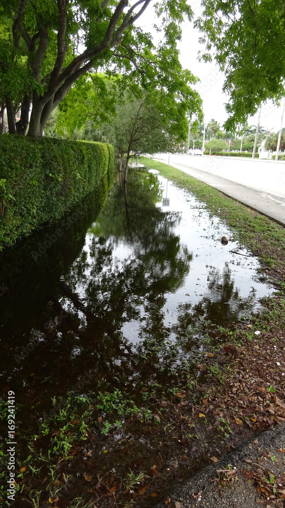 Obraz premium Swale containing Storm water