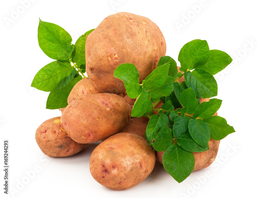 Red potatoes with leaves on a white