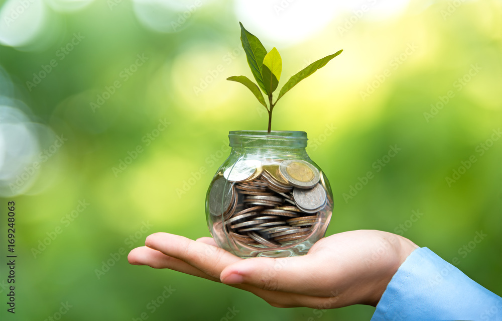 Businessman hand holding coin money cover growing plant. Plant growing