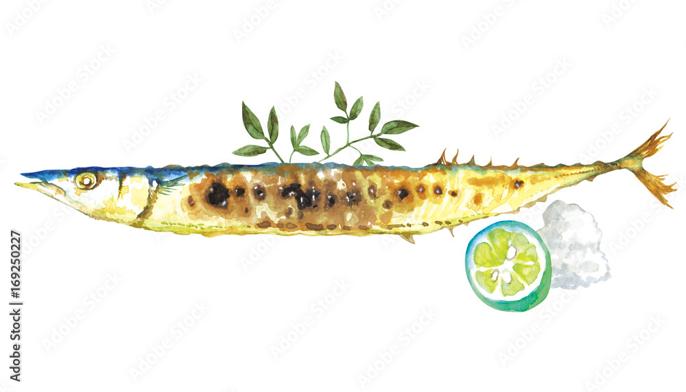 さんま 焼き魚 秋 水彩 イラスト Stock イラスト Adobe Stock