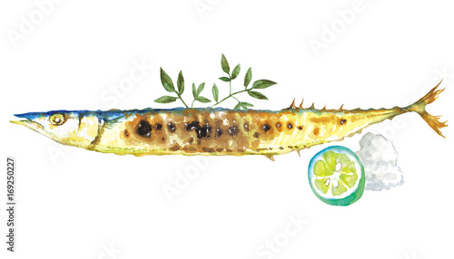 さんま 焼き魚 秋 水彩 イラスト Stock イラスト Adobe Stock