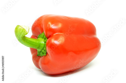 Single red pepper