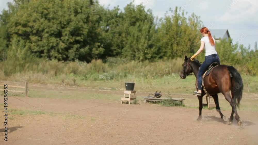 Hippodrome - girl riding on horseback - equestrian sport