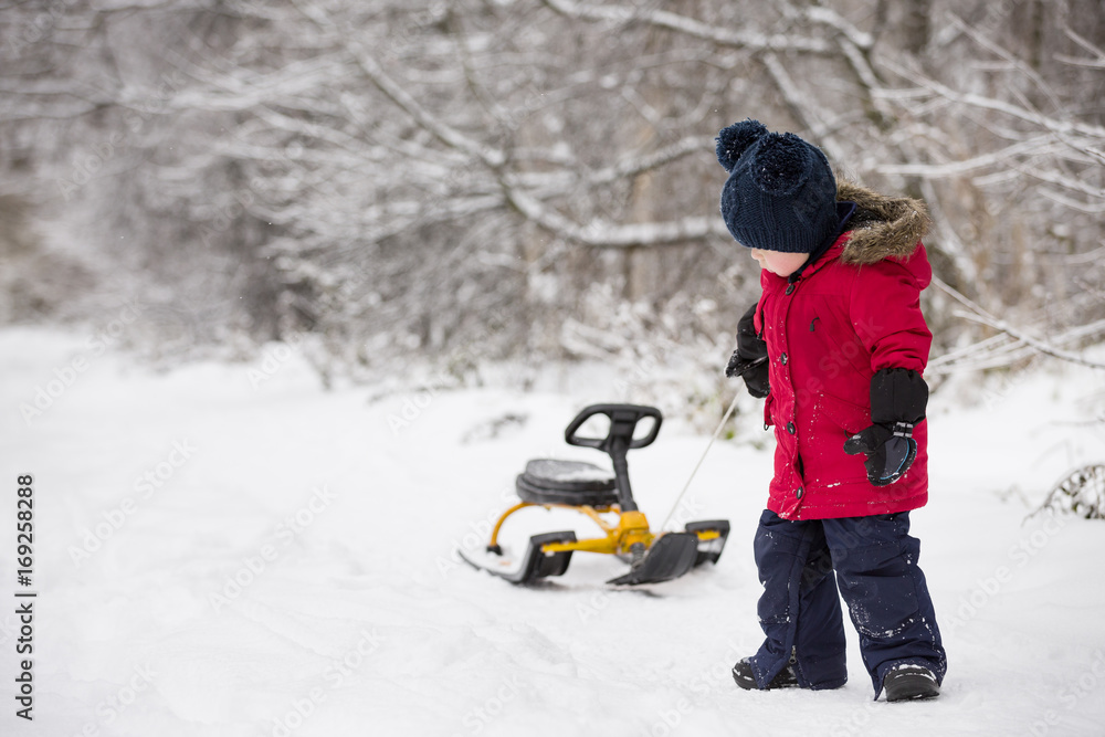 Fototapeta premium Adorable toddler boy pulling his sledge on a winter road in the park. Child walking on snow outdoors. Lifestyle concept.