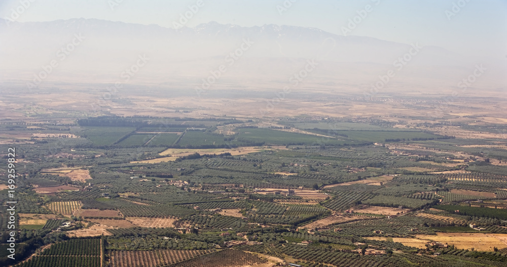 Olive groves and orchards from the area around Marrakech, Morocco.