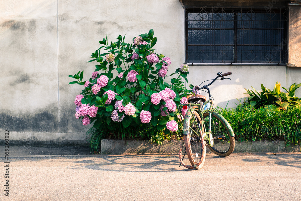 紫陽花と自転車
