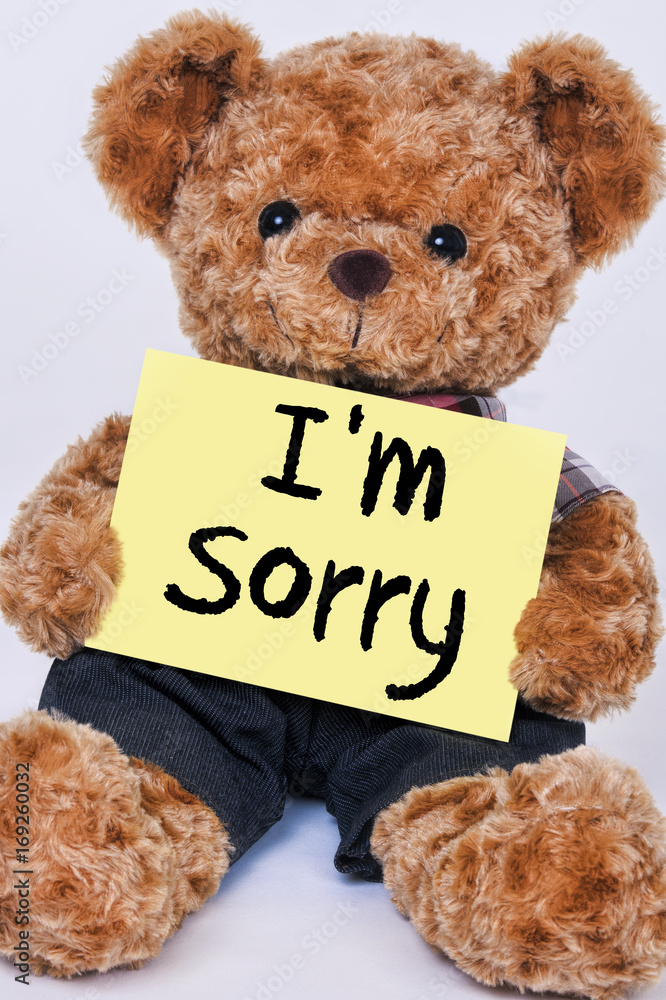Im sorry 2025 teddy