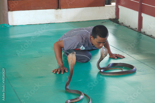 Man kisses a snake, snake farm, Phuket, Thailand, august 8, 2017 photo