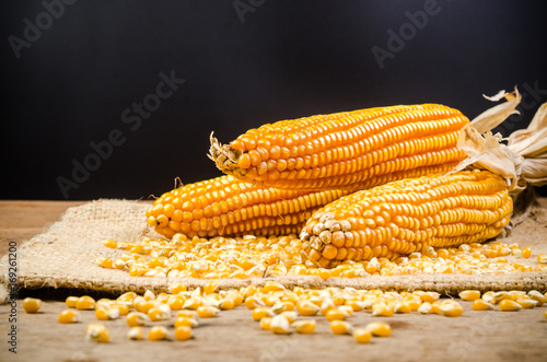 Dried corn on wooden table photo