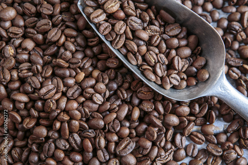 Fresh Roasted Coffe Beans