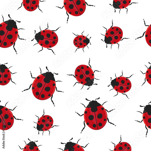 Ladybug Pattern Seamless  background.