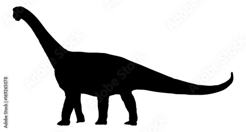 Dinosaur brachiosaurus; brontosaurus; diplodocus vector silhouette illustration isolated on white background.