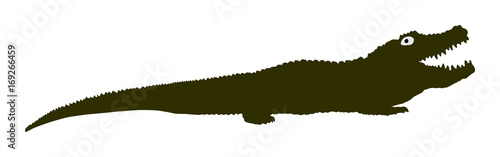 Crocodile vector isolated on the white background. 