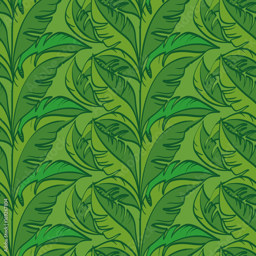 Seamless Floral Pattern  Leaves Exotic Plants  Contours on Tile Green Background. Vector