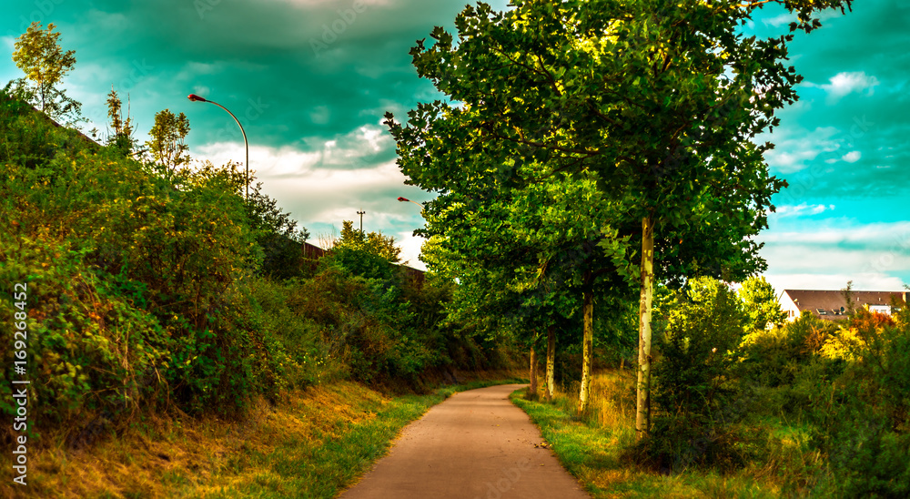 Sky, trees, nature and asphalt road Sky, trees, nature and asphalt road