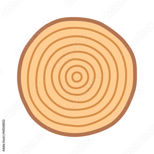 Tree growth rings / dating or dendrochronology flat color vector icon for nature apps and websites