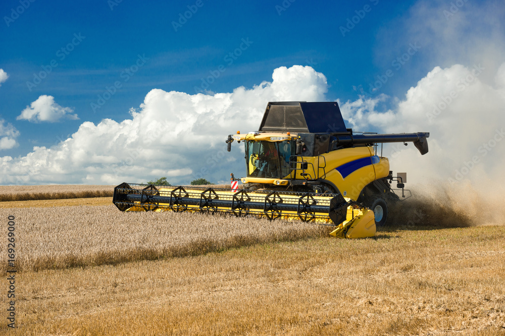 Fototapeta premium Combine harvester at the grain harvest - 9876