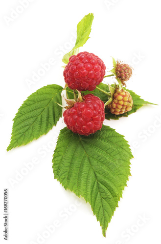 Berries raspberries.