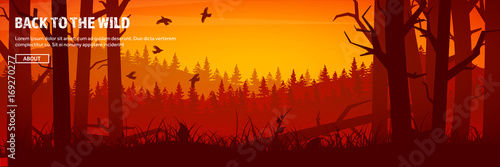 Mountains and forest header. Wild nature landscape. Travel and adventure.Panorama. Into the woods. Horizon line.Trees,fogfog.