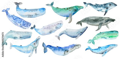 Watercolor whales set