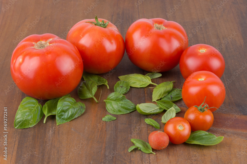 In Reihe gelegte unterschiedlich großer,Tomaten, mit Basilikum auf Holzbrett In Reihe gelegte unterschiedlich großer,Tomaten, mit Basilikum auf Holzbrett