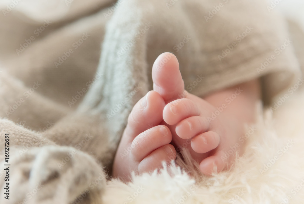 newborn baby feet on soft fabric newborn baby feet on soft fabric