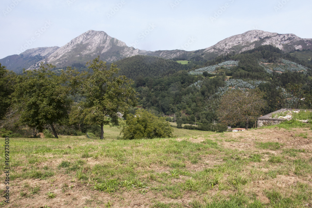 Naklejka premium Paisaje de montaña Cantábrica