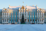 Christmas fir-tree in the background of the Catherine Palace in the winter. Tsarskoye Selo, Russia