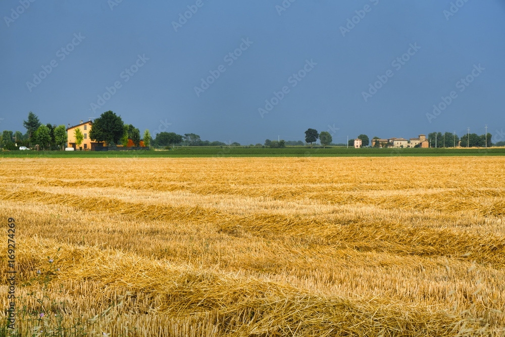 Country landscape near Fiorenzuola (Piacenza, Italy)