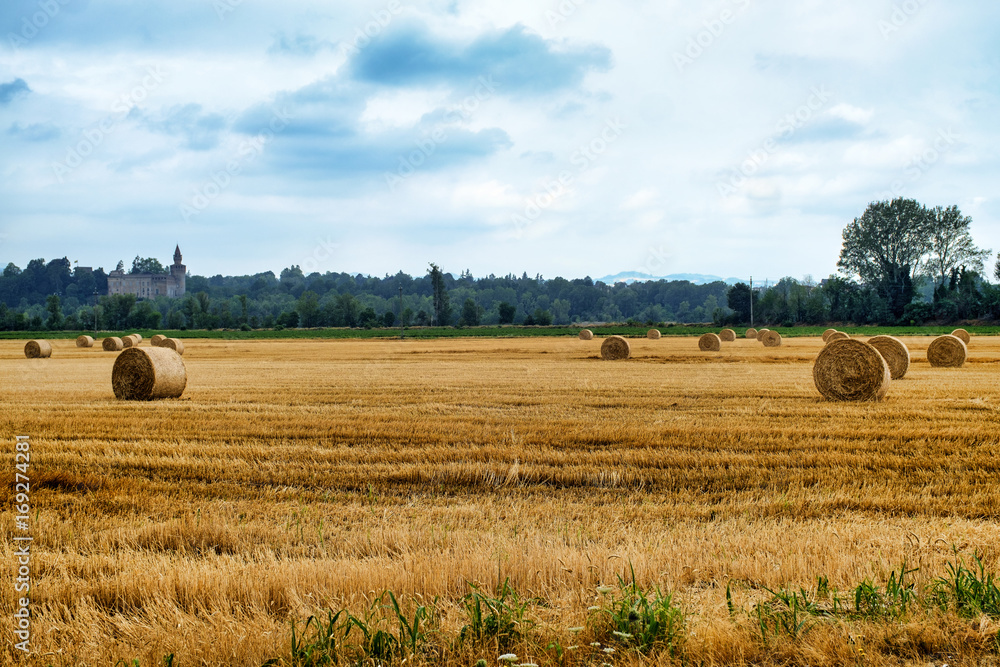 Fototapeta premium Rivalta Trebbia (Piacenza), landscape with the castle