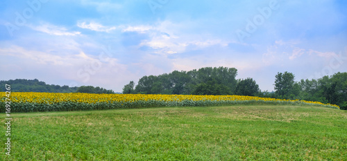 Photos Country road near Vigolo Marchese (Piacenza, Italy)