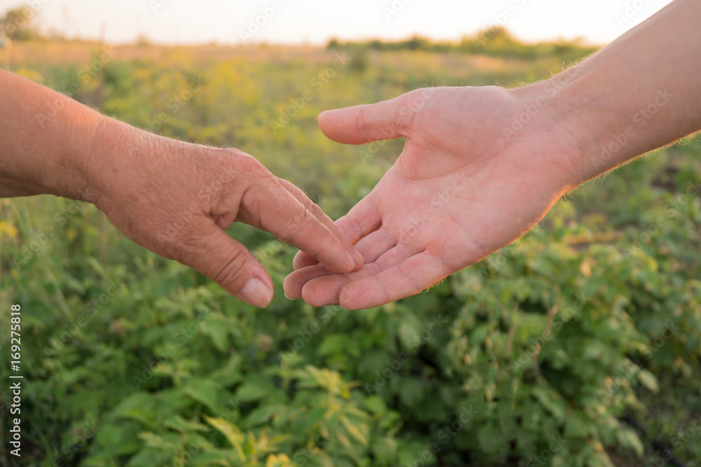 Old and adult person holding hands. Elderly care and respect. Mother and son. Old and adult person holding hands. Elderly care and respect. Mother and son.