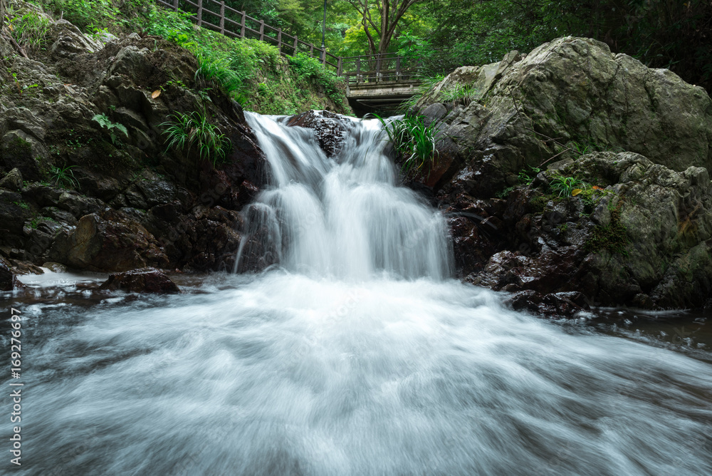 Fototapeta premium 箕面の渓流