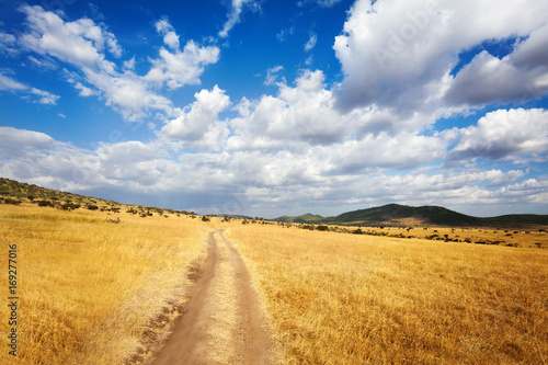 Beautiful cloudscape over arid African savannah