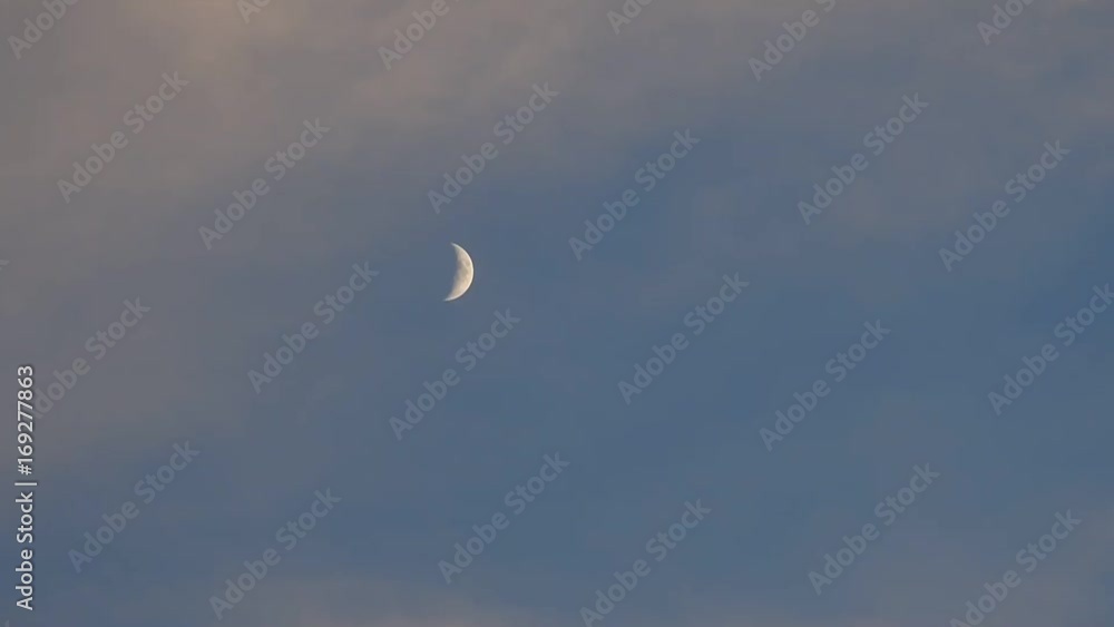 空、夕方の月、カラスが横切ります