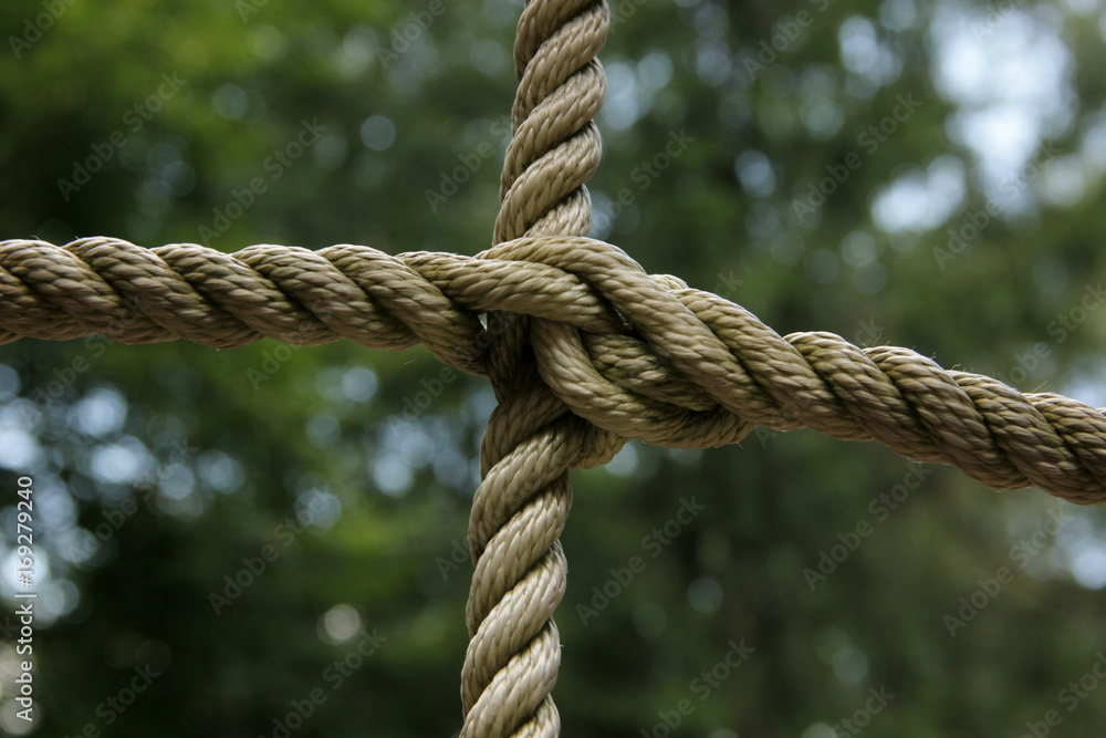 abstraction with a rope abstraction with a rope