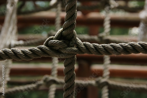 abstraction with a rope
