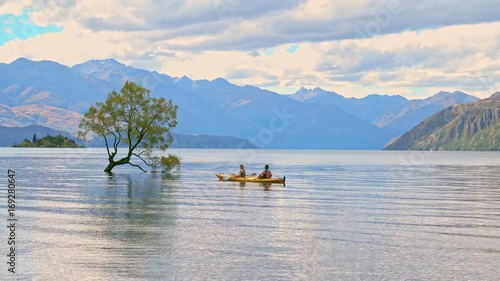 Wanaka Tree, Lake Wanaka at sunrise, New Zealand