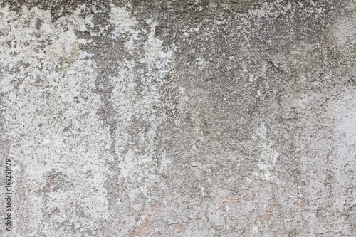 Wallpaper Mural grey concrete wall background texture with plaster Torontodigital.ca