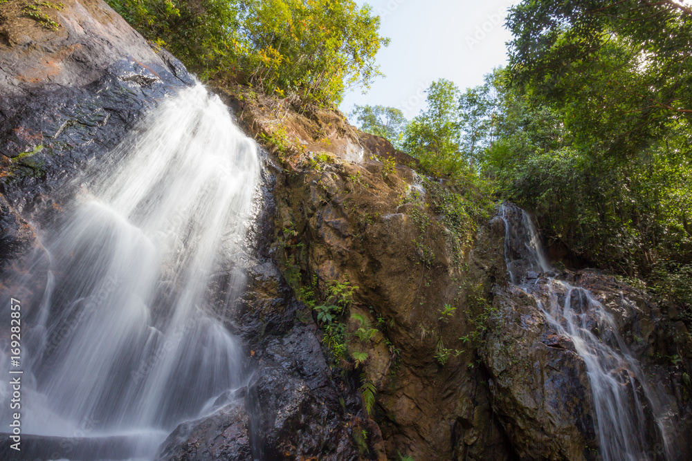Fototapeta premium Forest stream waterfall. Waterfall mossy rocks