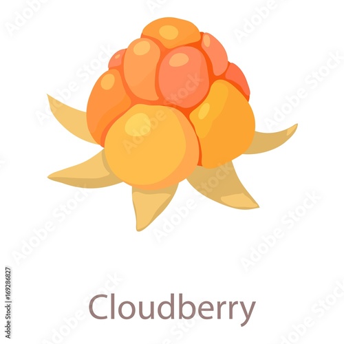 Cloudberry icon, isometric 3d style