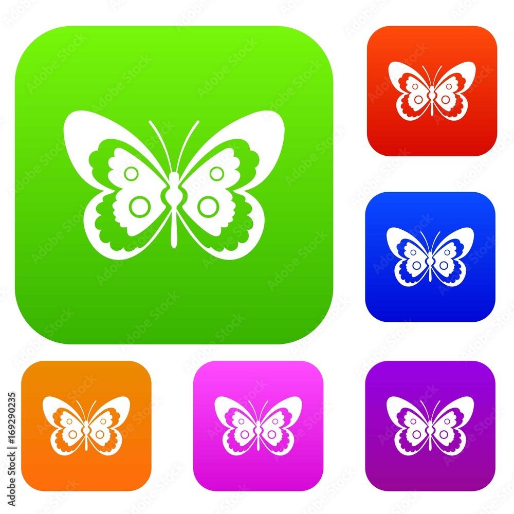 Obraz premium Butterfly set collection