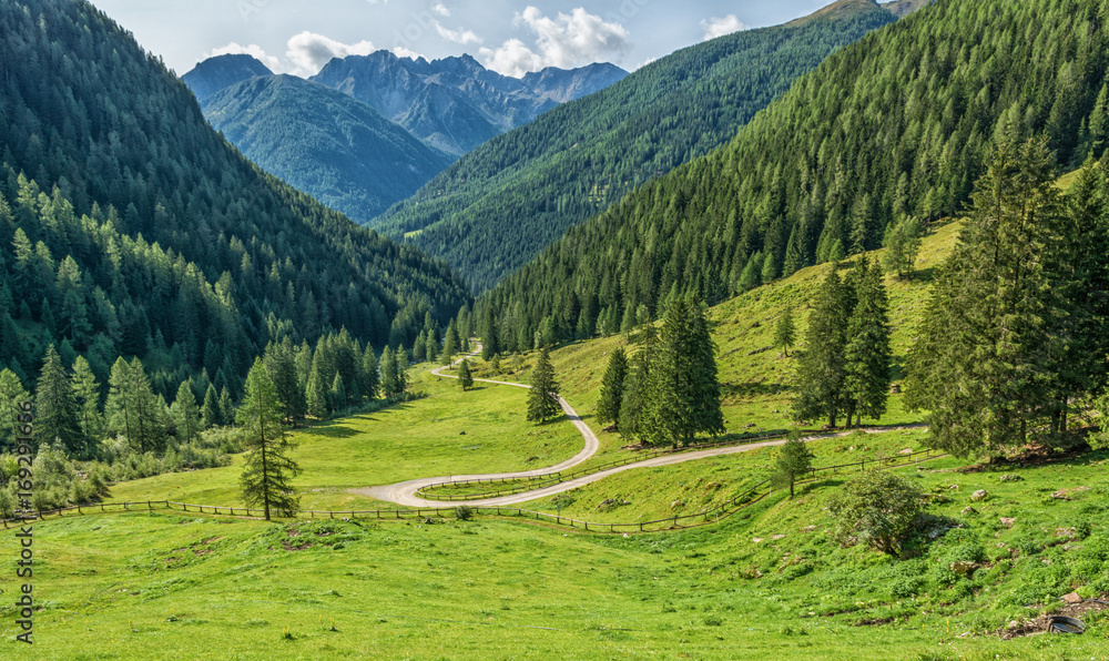 mountain landscape. Summer view of the Rabbi Valley, Trentino Alto Adige, Italy