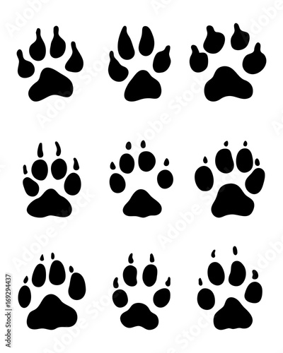 Black print of paw of dogs, vector illustration