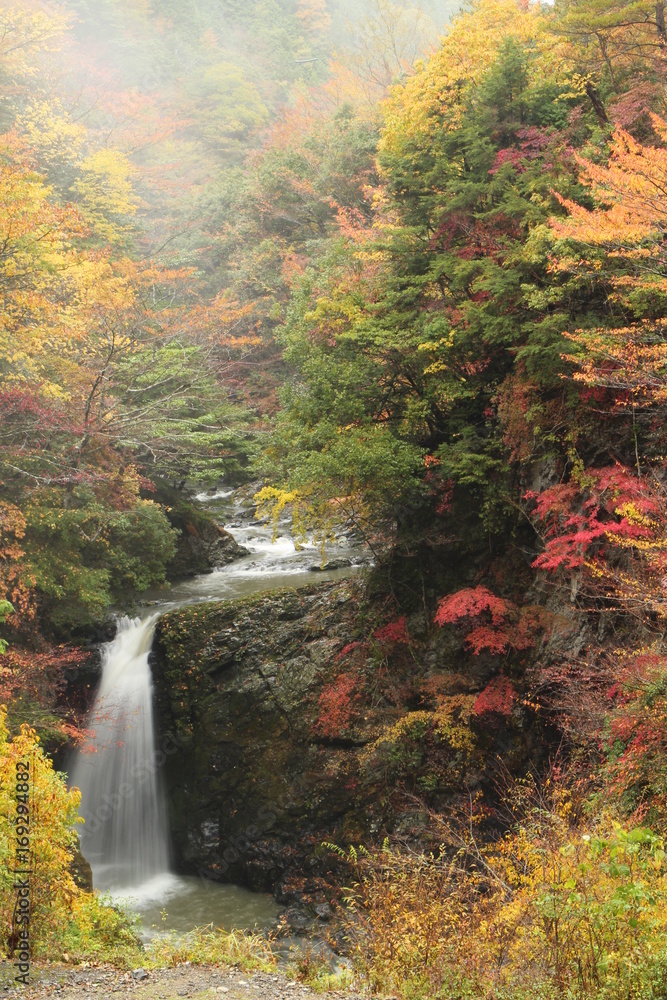 高野滝と紅葉 高野滝と紅葉