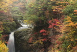 高野滝の紅葉