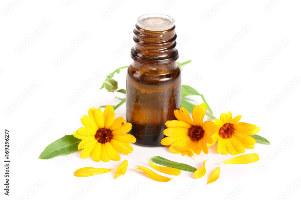 aromatherapy essential oil with marigold flowers isolated white background aromatherapy essential oil with marigold flowers isolated white background