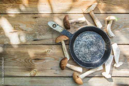 Freshly harvested mushrooms in the forest photo