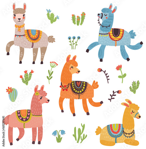 Cute lama vector set
